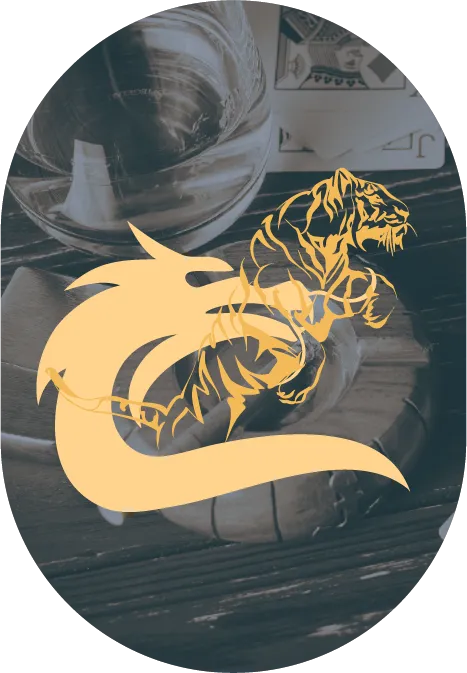 Live Dragon Tiger
